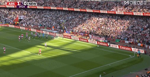 1777164274663053869.gif 2.gif